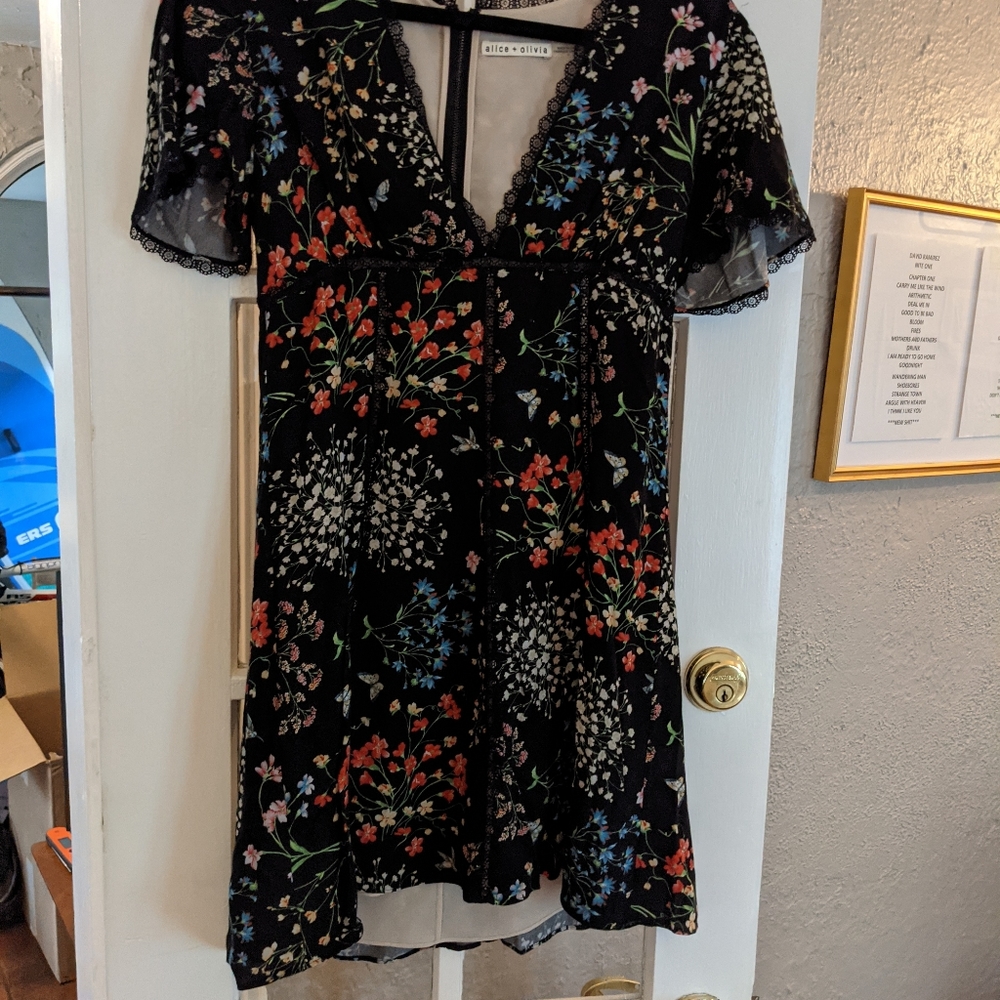 Alice & Olivia Dress (Size 6)